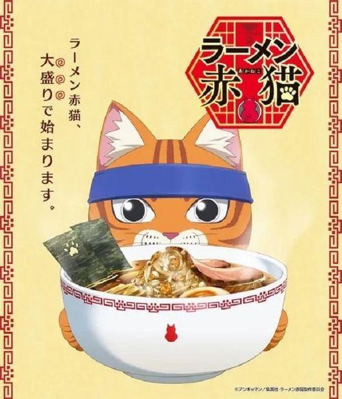 拉面赤猫,探寻美食与奇幻的跨界之旅